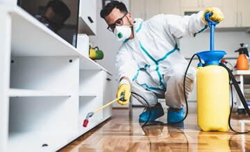 general-pest-control